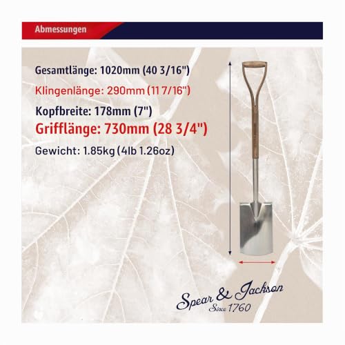 Spear & Jackson 4450DS Traditional rostfreier Grabespaten mit Hartholzschaft